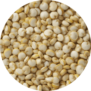 quinoa seed