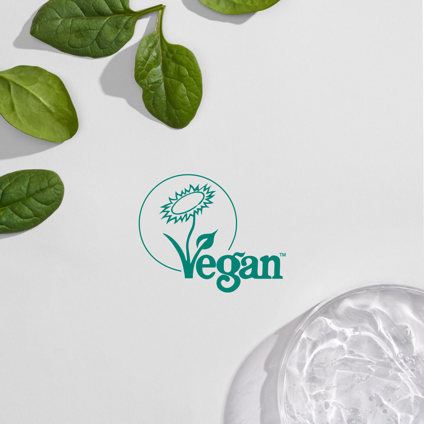 vegan logo
