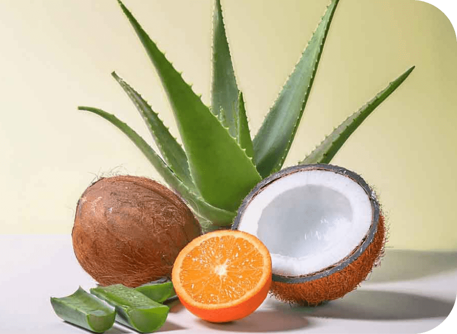 Amway_Home_uses_naturally_derived_ingredients_like_coconut_aloe_vera_and_orange