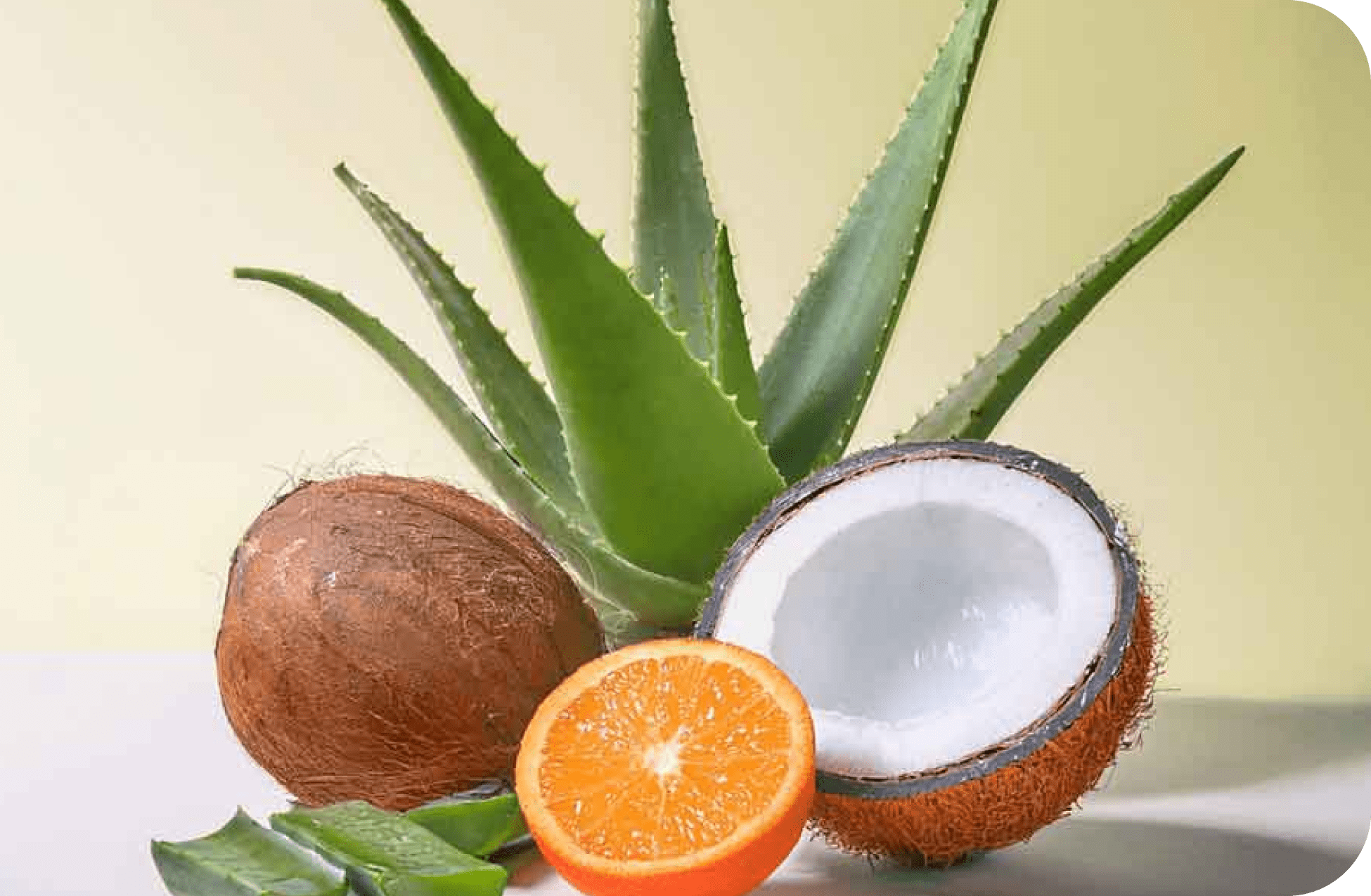 Amway_Home_uses_naturally_derived_ingredients_like_coconut_aloe_vera_and_orange