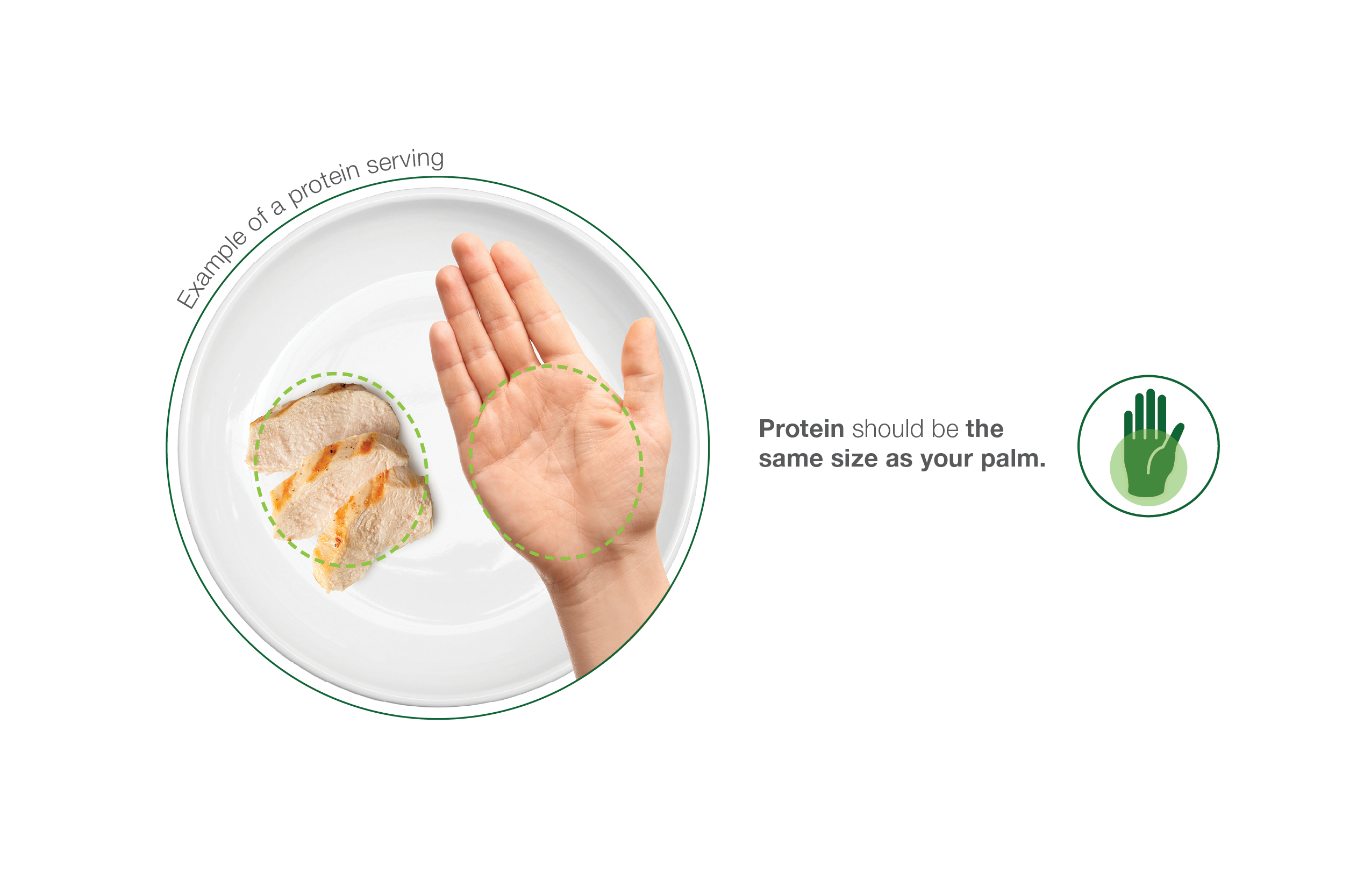 Protein portion size guide - protein should be the same size as your palm