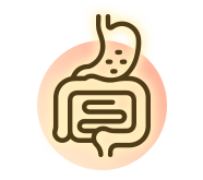 Digestion