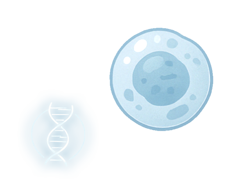 Healthy Aging Starts with Cellular Regeneration